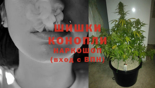гашик Пересвет
