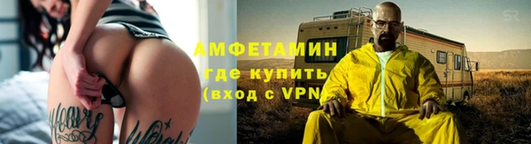 гашик Пересвет
