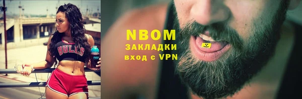 гашик Пересвет