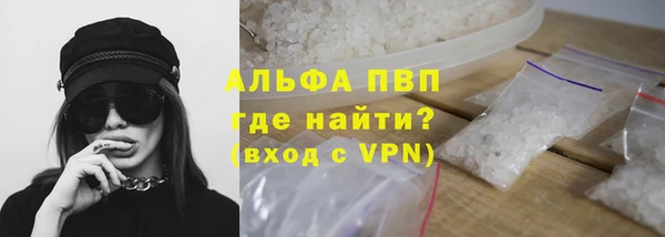 гашик Пересвет