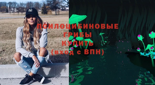 гашик Пересвет